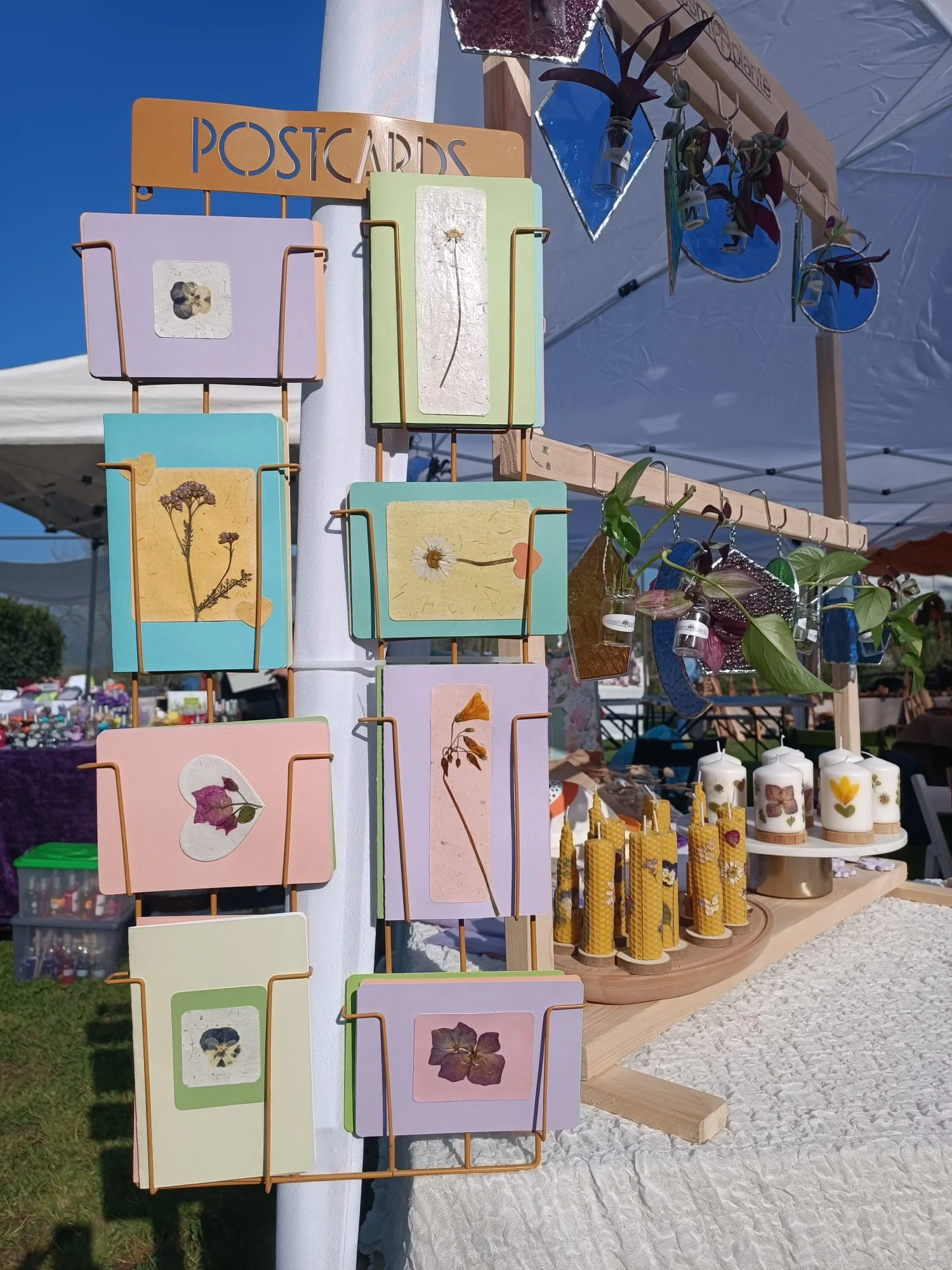 Cartoleria Botanica