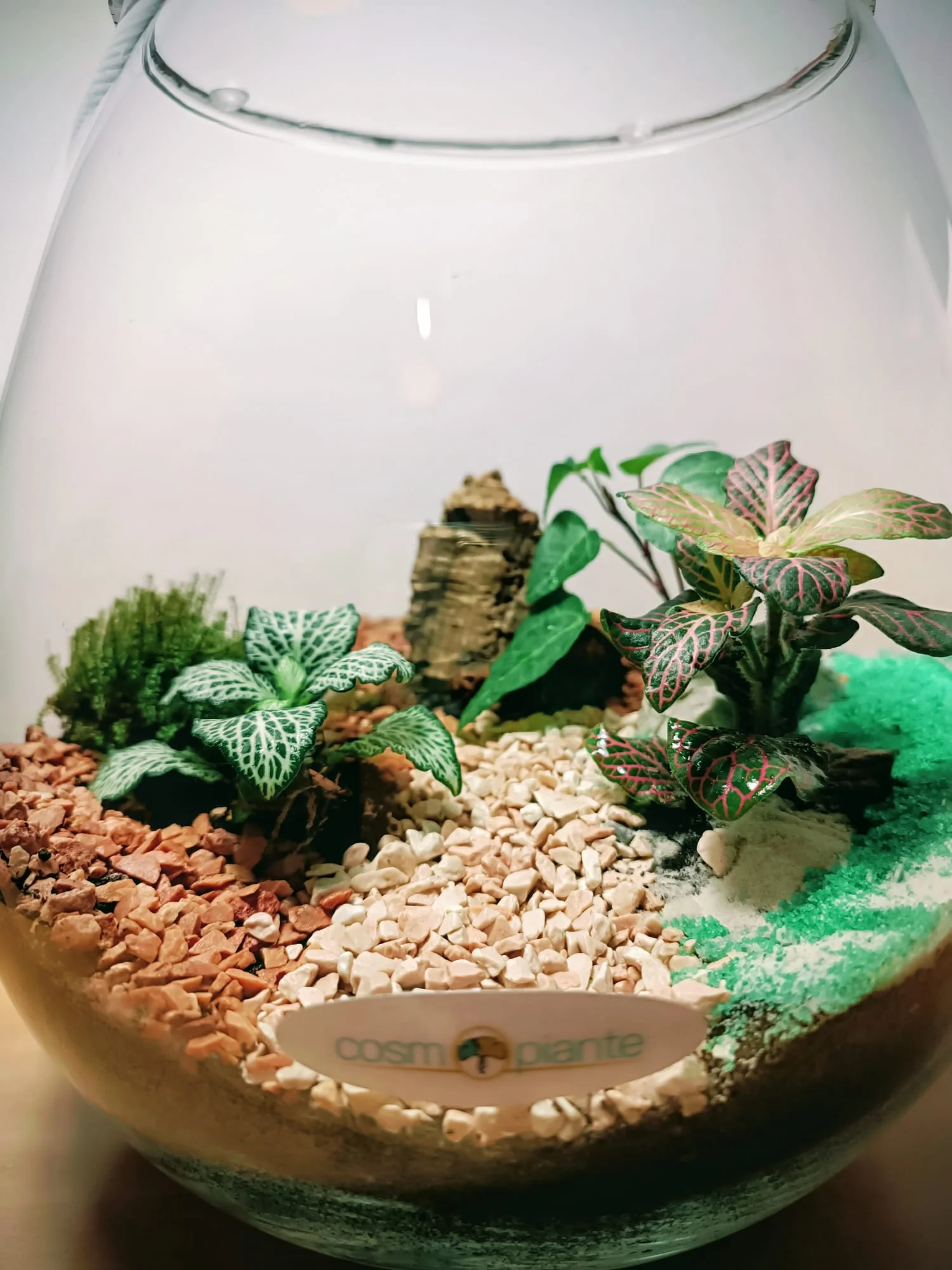 Terrari - foto 12