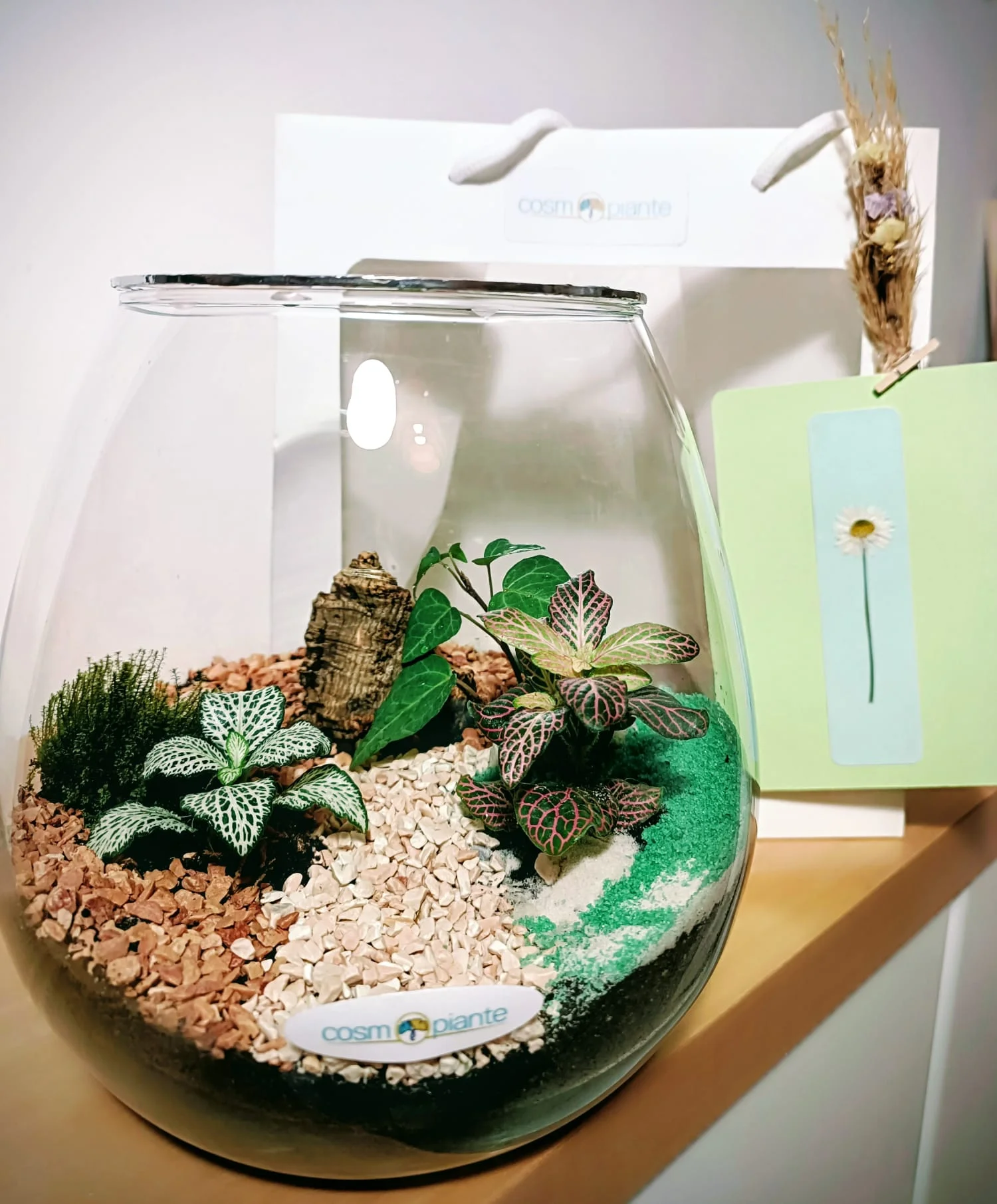 Terrari - foto 13
