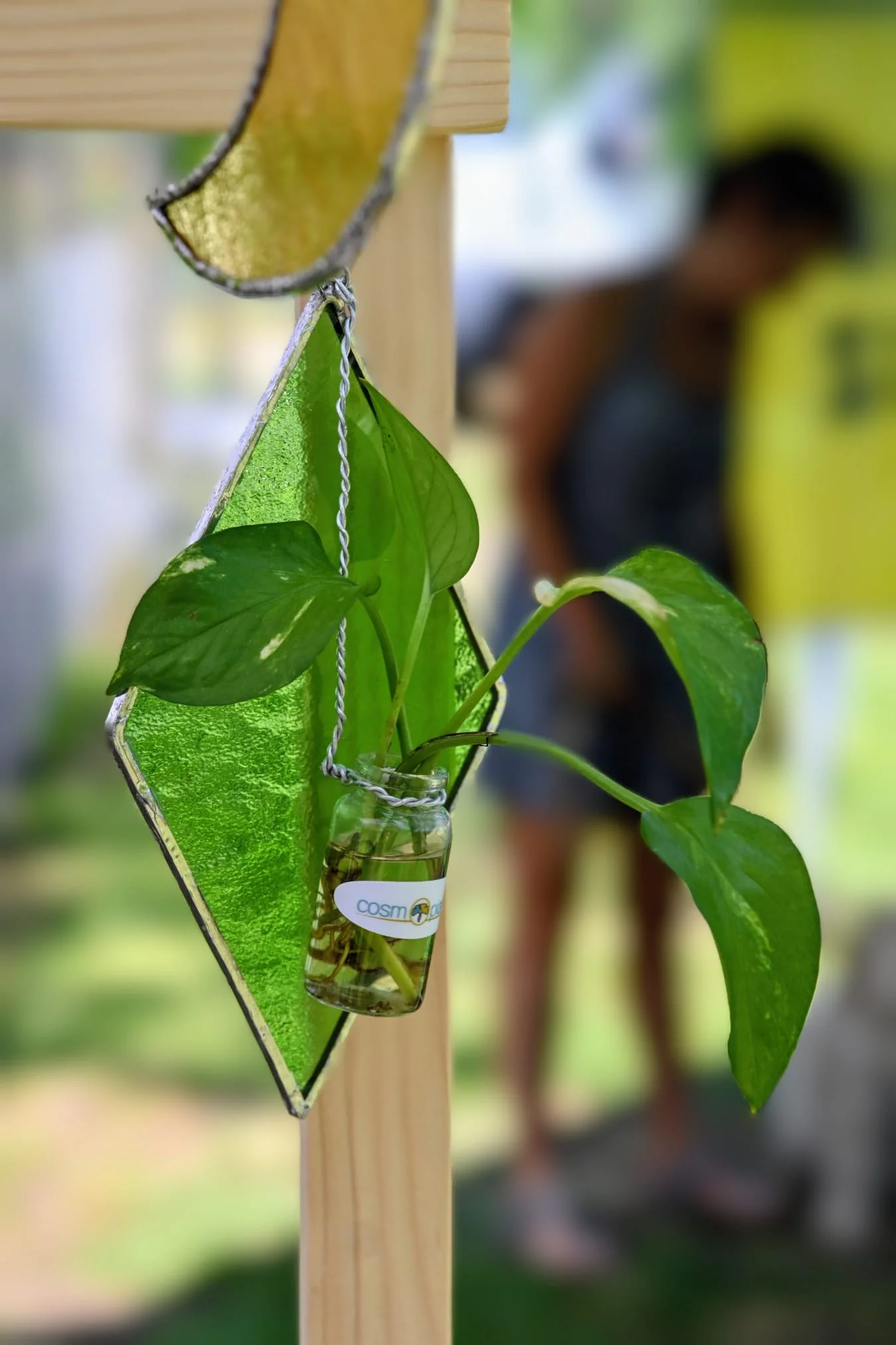 Riflessi di Natura Sospesa - foto 3