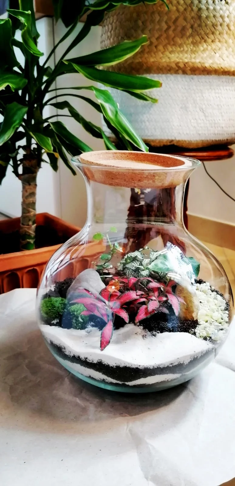 Terrari - foto 22