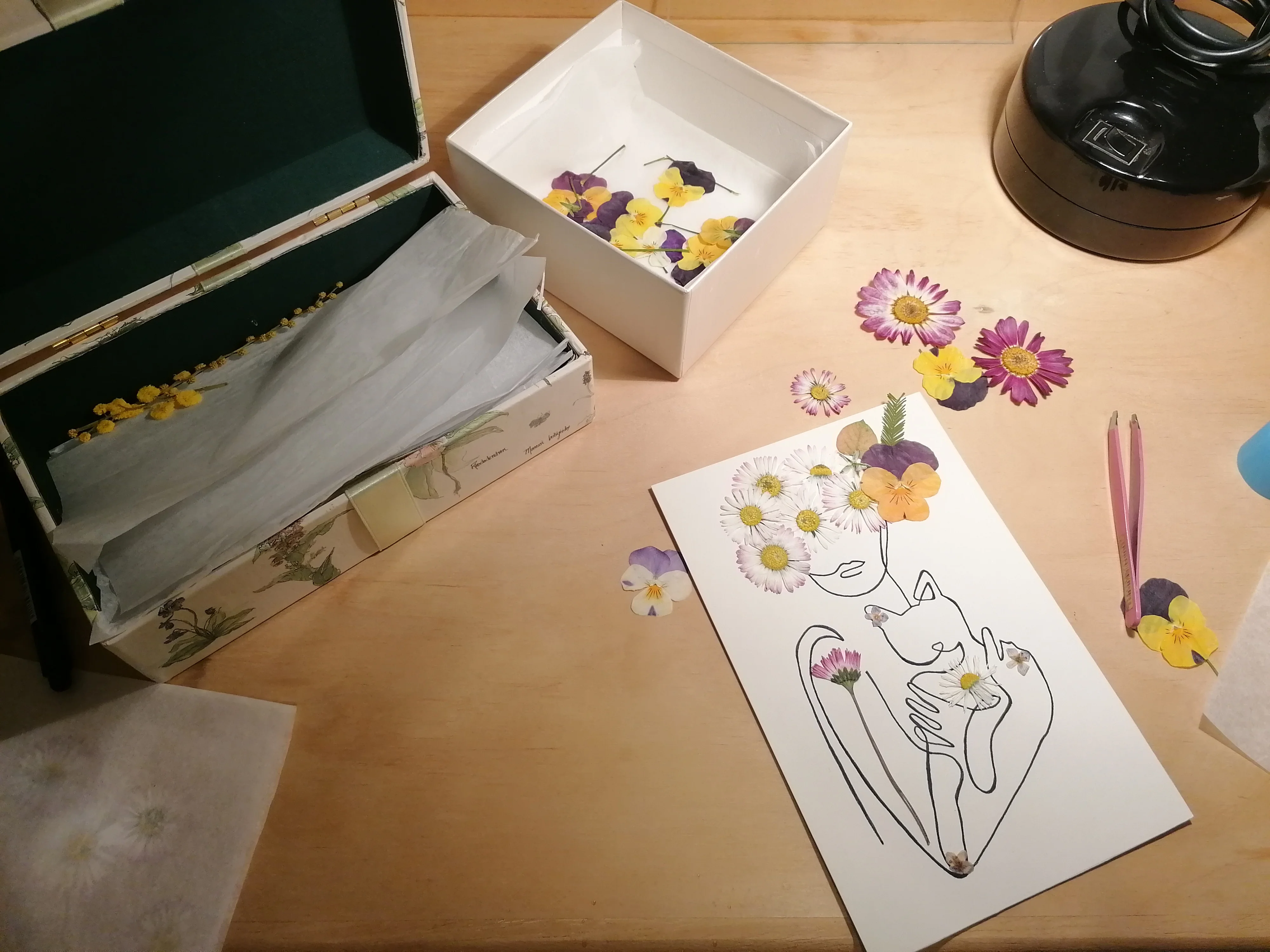 Quadri Botanici - foto 16