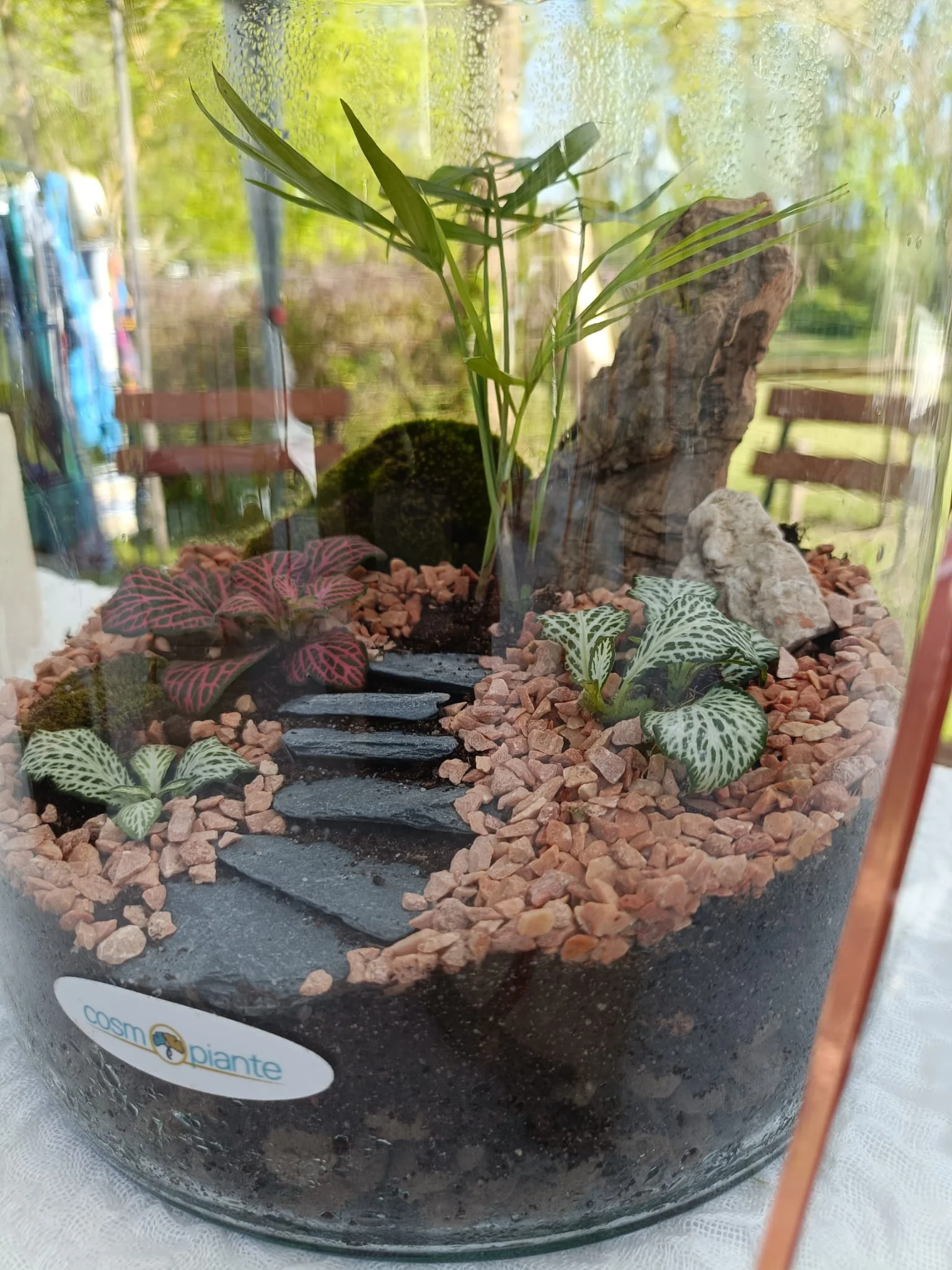 Terrari - foto 23