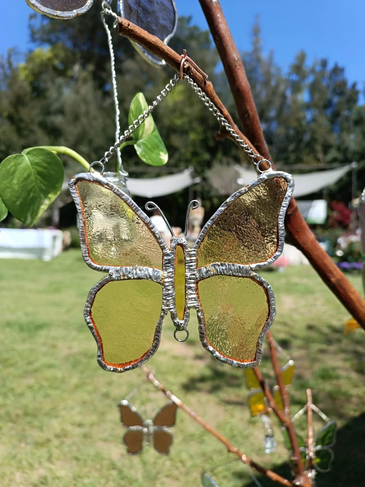 Riflessi di Natura Sospesa - foto 8