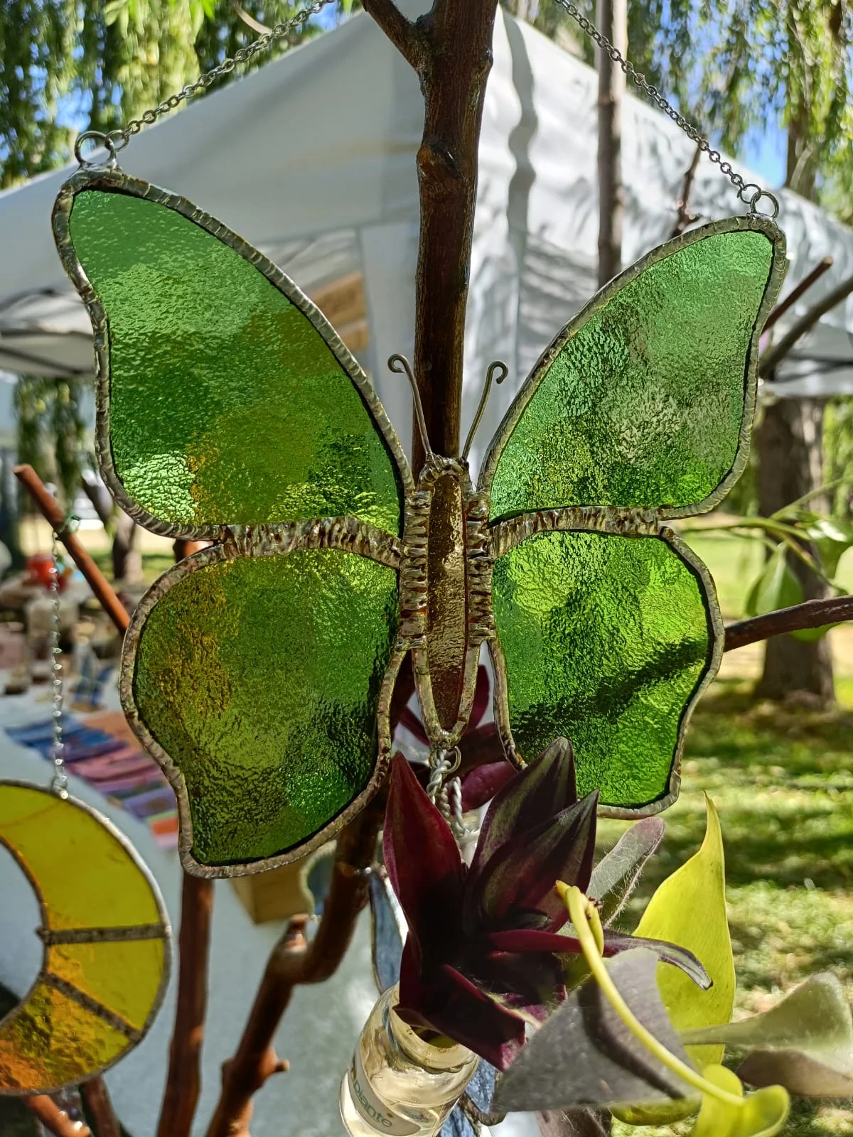 Riflessi di Natura Sospesa - foto 13