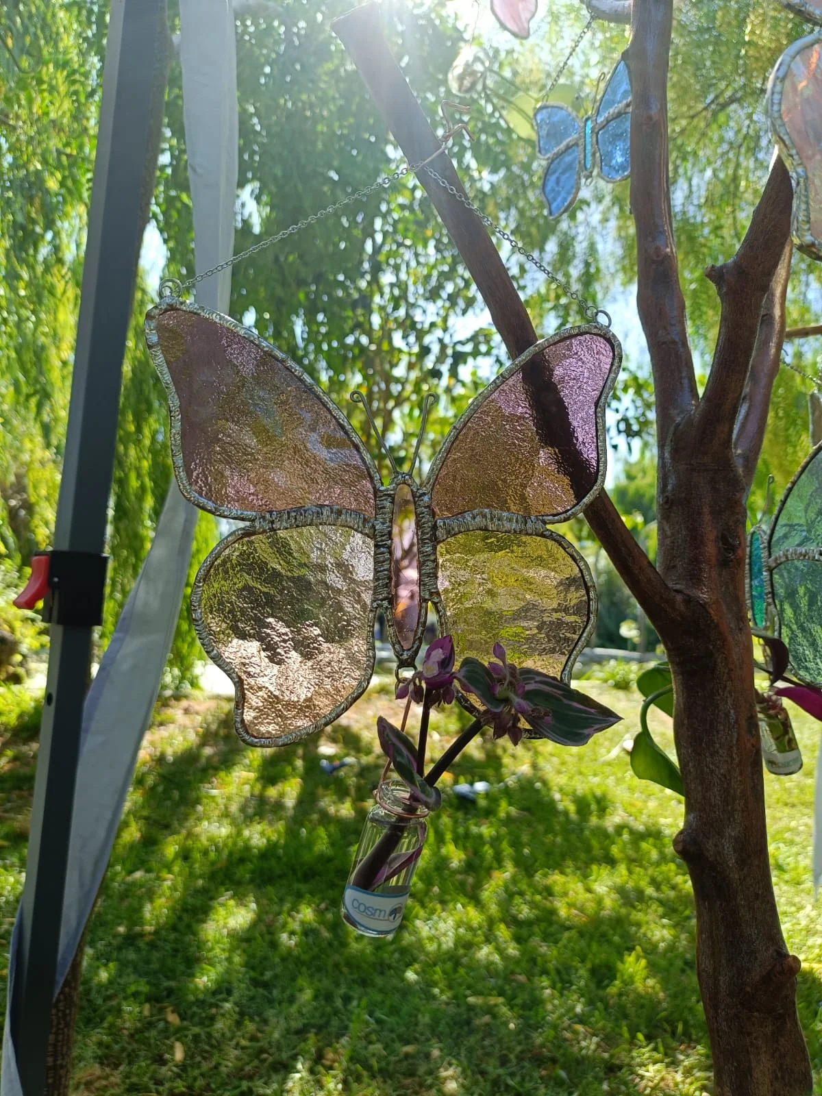 Riflessi di Natura Sospesa - foto 15