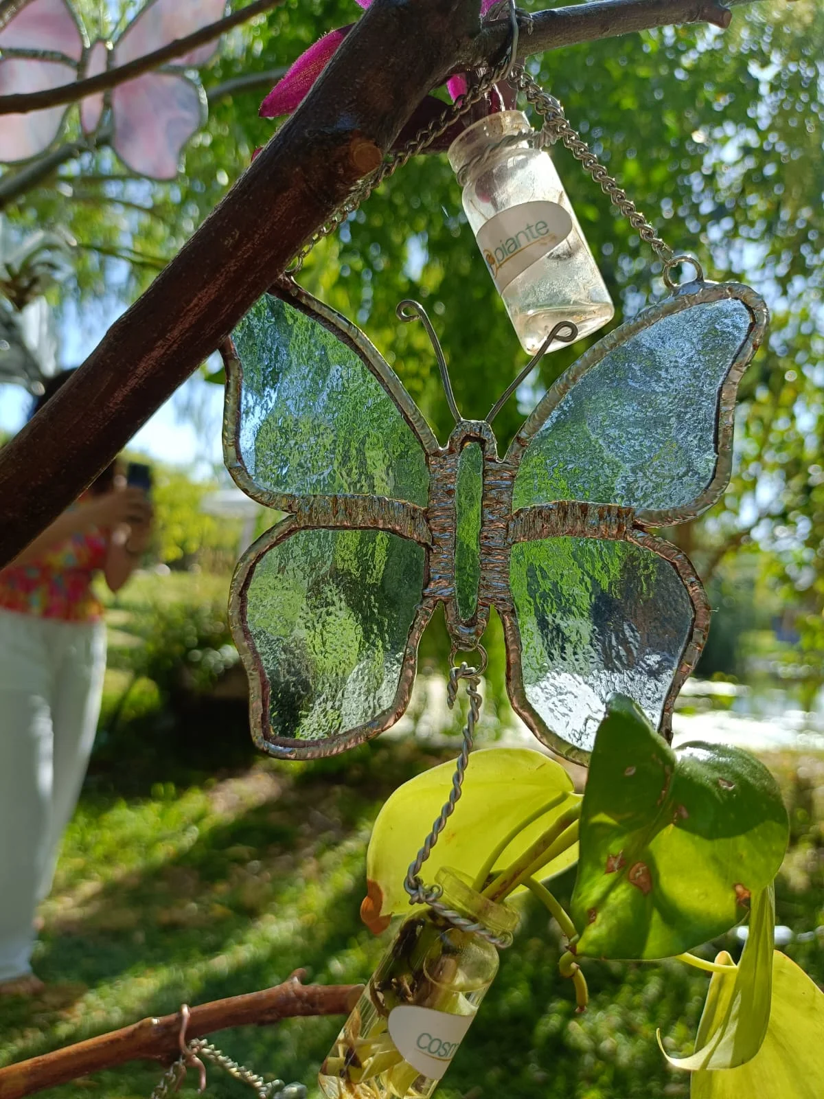 Riflessi di Natura Sospesa - foto 16