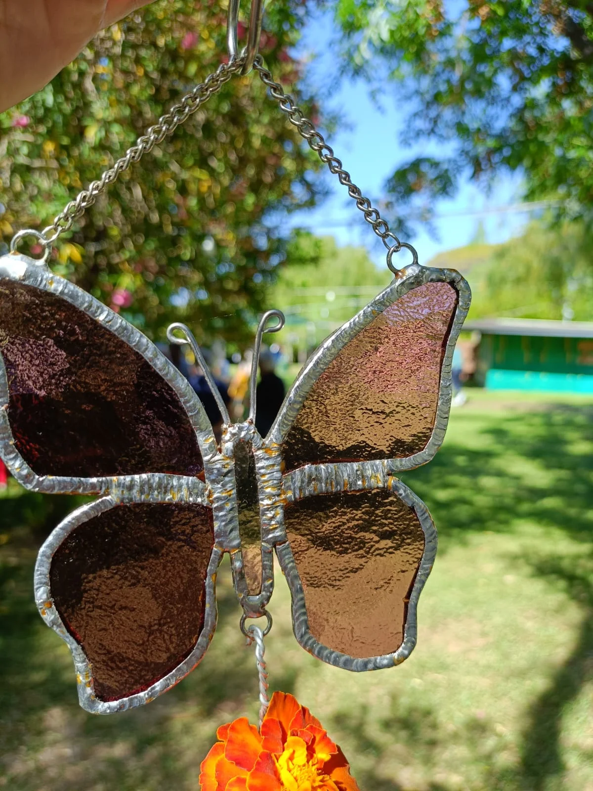 Riflessi di Natura Sospesa - foto 18
