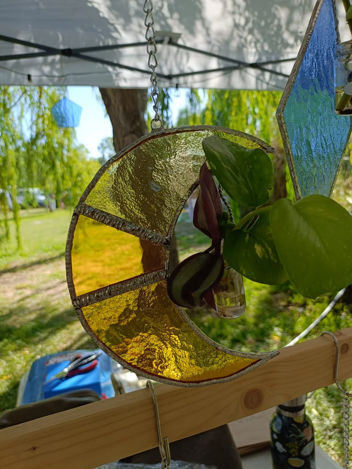 Riflessi di Natura Sospesa - foto 19