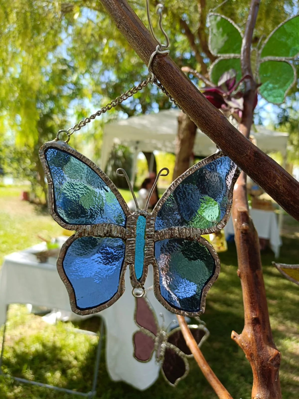 Riflessi di Natura Sospesa - foto 21