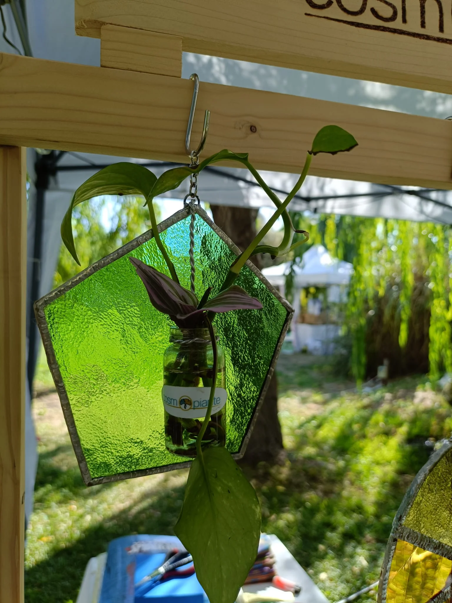 Riflessi di Natura Sospesa - foto 22