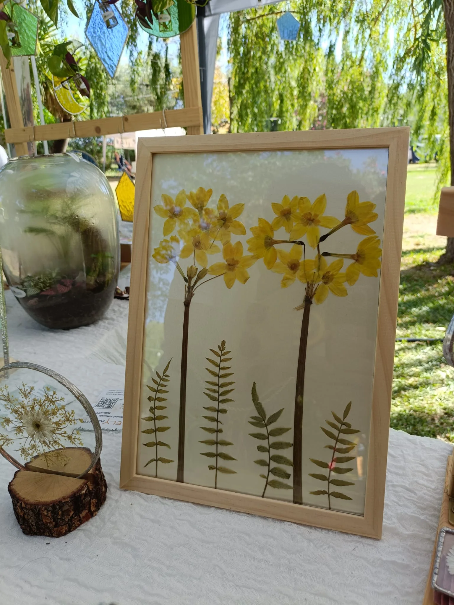 Quadri Botanici - foto 25