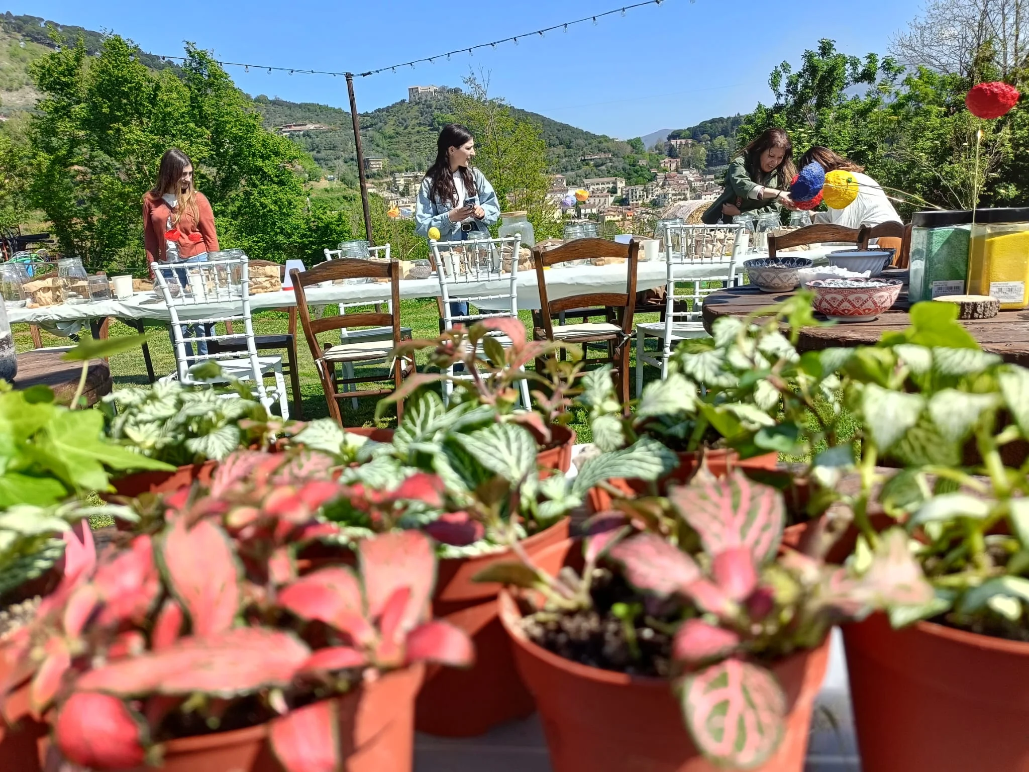 Terrarium Cheers 18 Maggio 26'